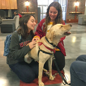 Catawba Valley Obedience Club, Hickory NC